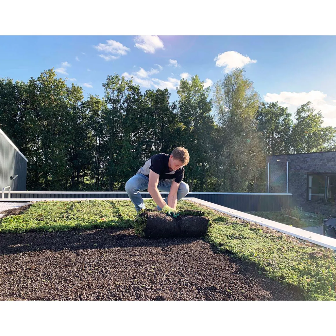 AboutGreen Gründachsystem Aromadach bis 10 Dachneigung 1 m²