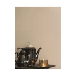 Alpina Feine Farben Zauber der Wüste 2,5 L