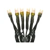 Ambientis Aussenlichterkette 200 LEDs 10 m