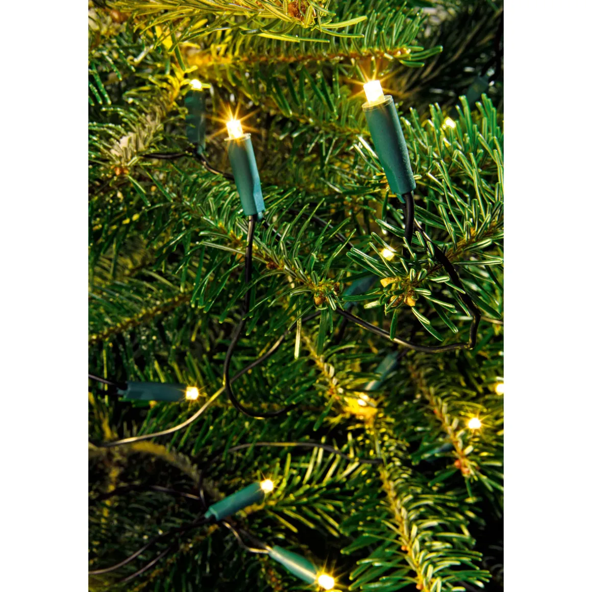 Ambientis LED-Innenlichterkette 10 LEDs warmweiß
