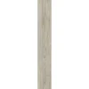 Basic Designboden SPC-Rigid Sundance 122 x 18 cm