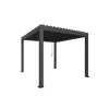 Biohort Pergola Gr. 3 x 3,5 dunkelgrau-metallic
