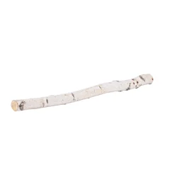 Birkenstamm 90 cm Durchmesser 2-4 cm