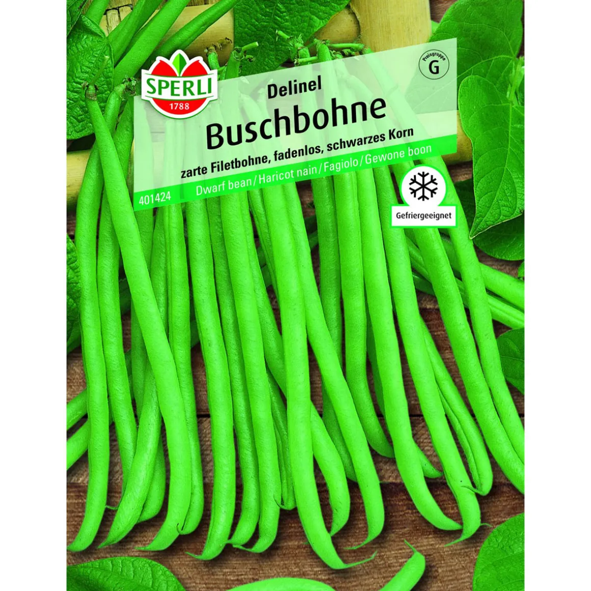 Buschbohne Delinel