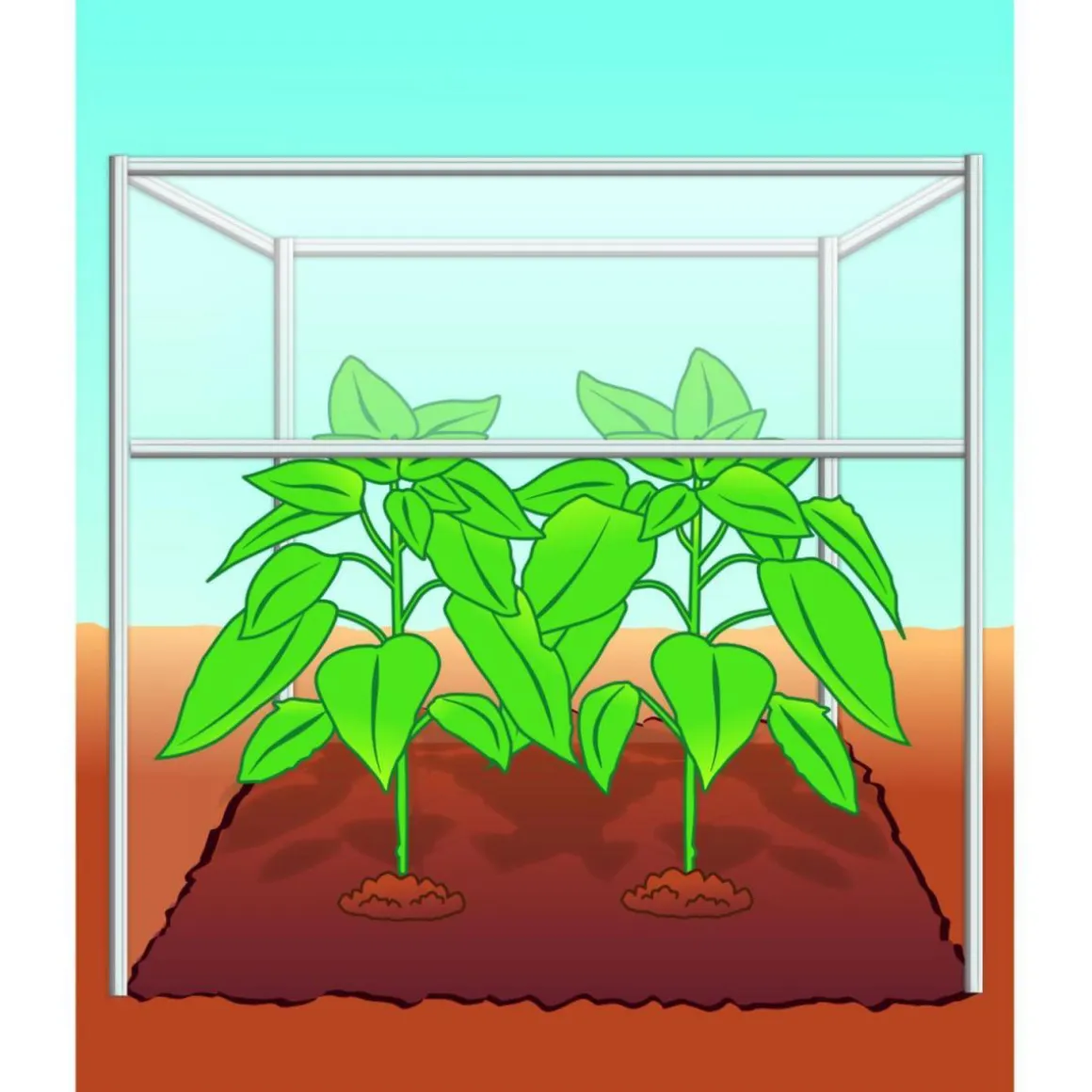 Compo BIO Tomaten- und Gemüseerde torffrei 40 L