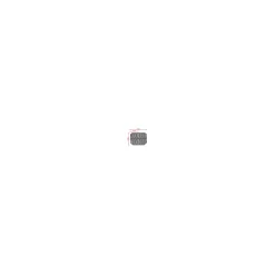 COZZE E-300 Grill 230V mit 2 Gusseiserene Grillpfanne 2200W