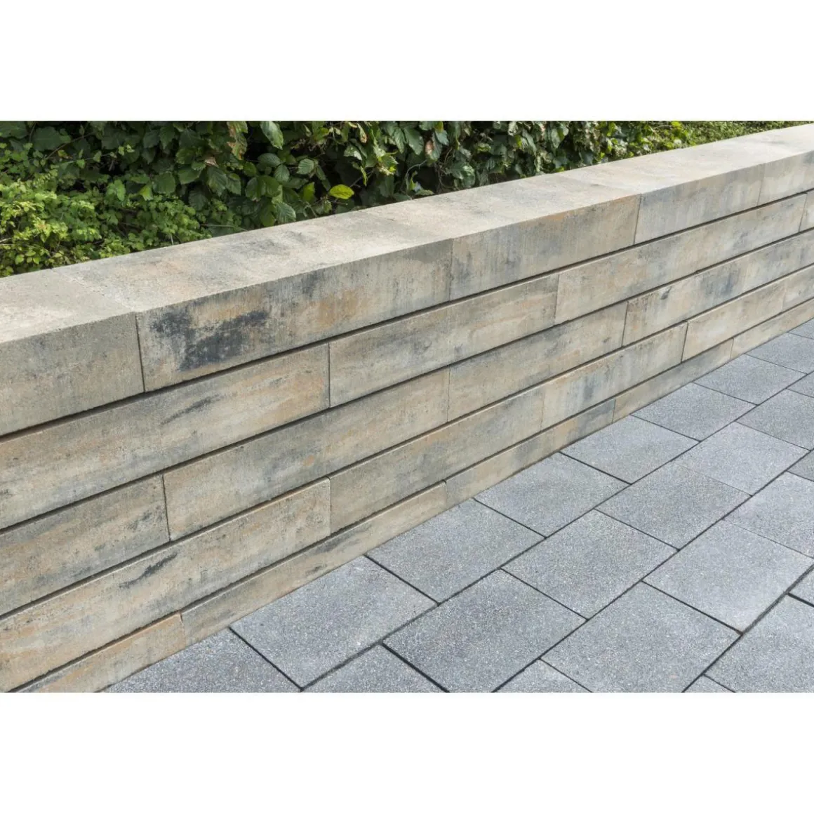 Diephaus Mauersteine Top 60 x 25 x 12,5 cm Muschelkalk