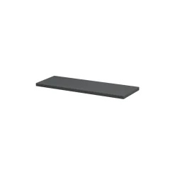 Dolle Regalboden Lite Holz grau 60 x 20 x 2 cm
