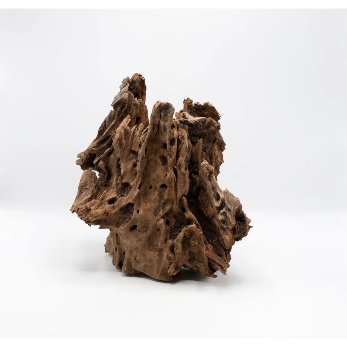Driftwood Wurzel 40 x 25 cm