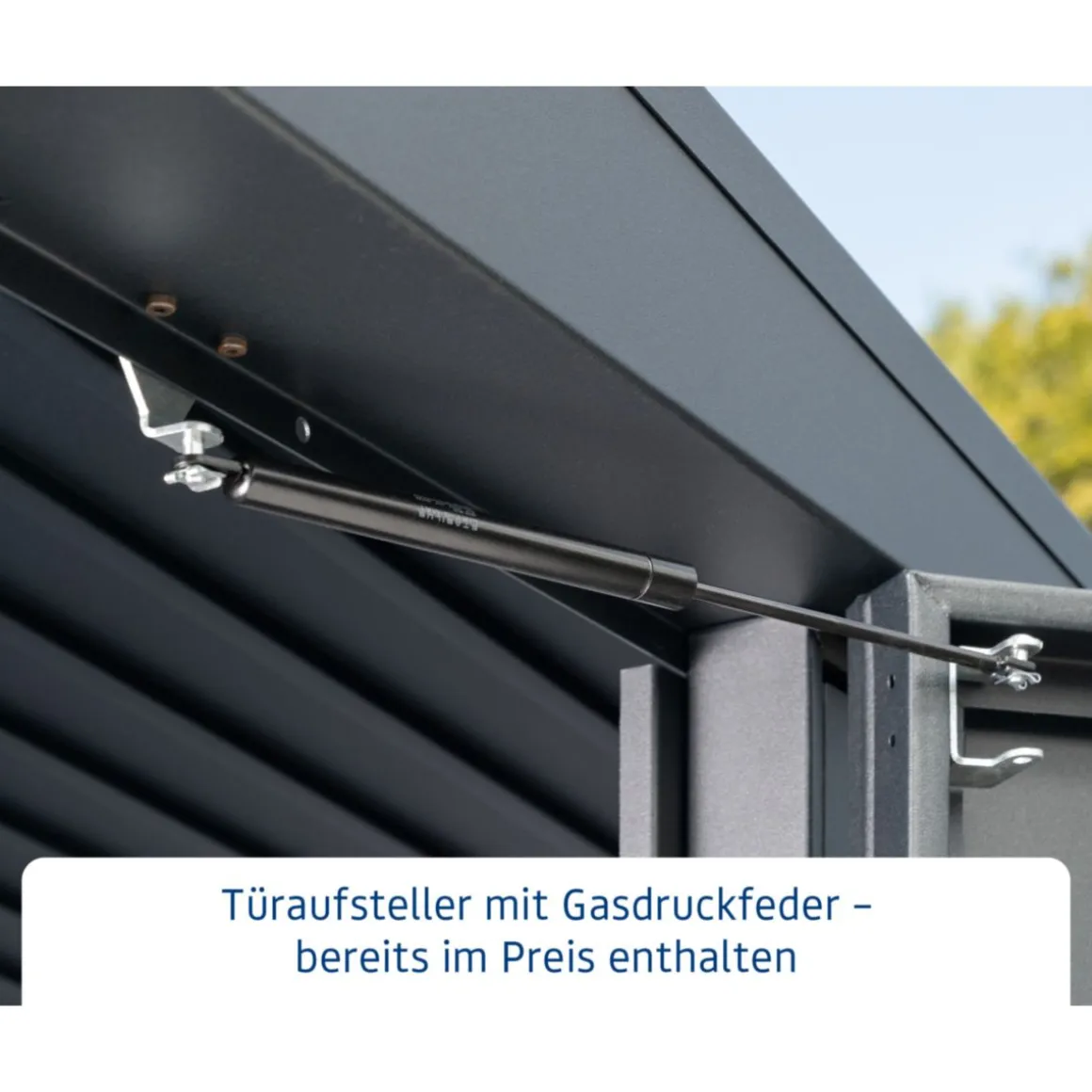 EcoStar Gerätehaus Elegant-PTyp 3RAL6005 2 flg