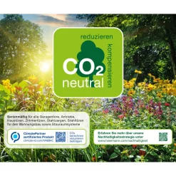 EcoStar Gerätehaus Elegant-STyp 3RAL7016 2 flg