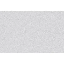 Erfurt Vliesfaser Protect 206 weiß 1005 x 53 cm