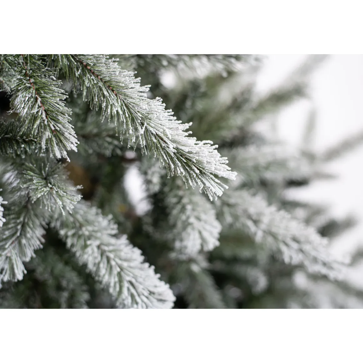 Evergreen Künstlicher Weihnachtsbaum Cedar Frost Kiefer 114x210cm Grün Weiß