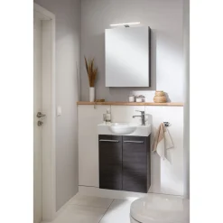 Fackelmann Gäste-WC Spiegelschrank rechts SBC 500 x 680 x 153 mm DarkOak