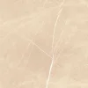 Feinsteinzeug Ciana Beige glasiert poliert rektifiziert 60 x 60 cm