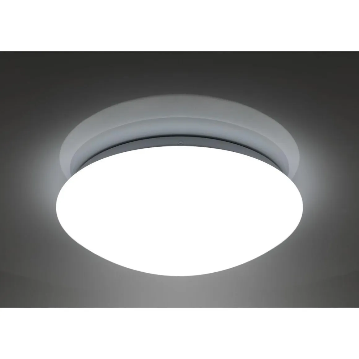 Flector LED-Wand- und Deckenleuchte Sandy dimmbar 30 cm