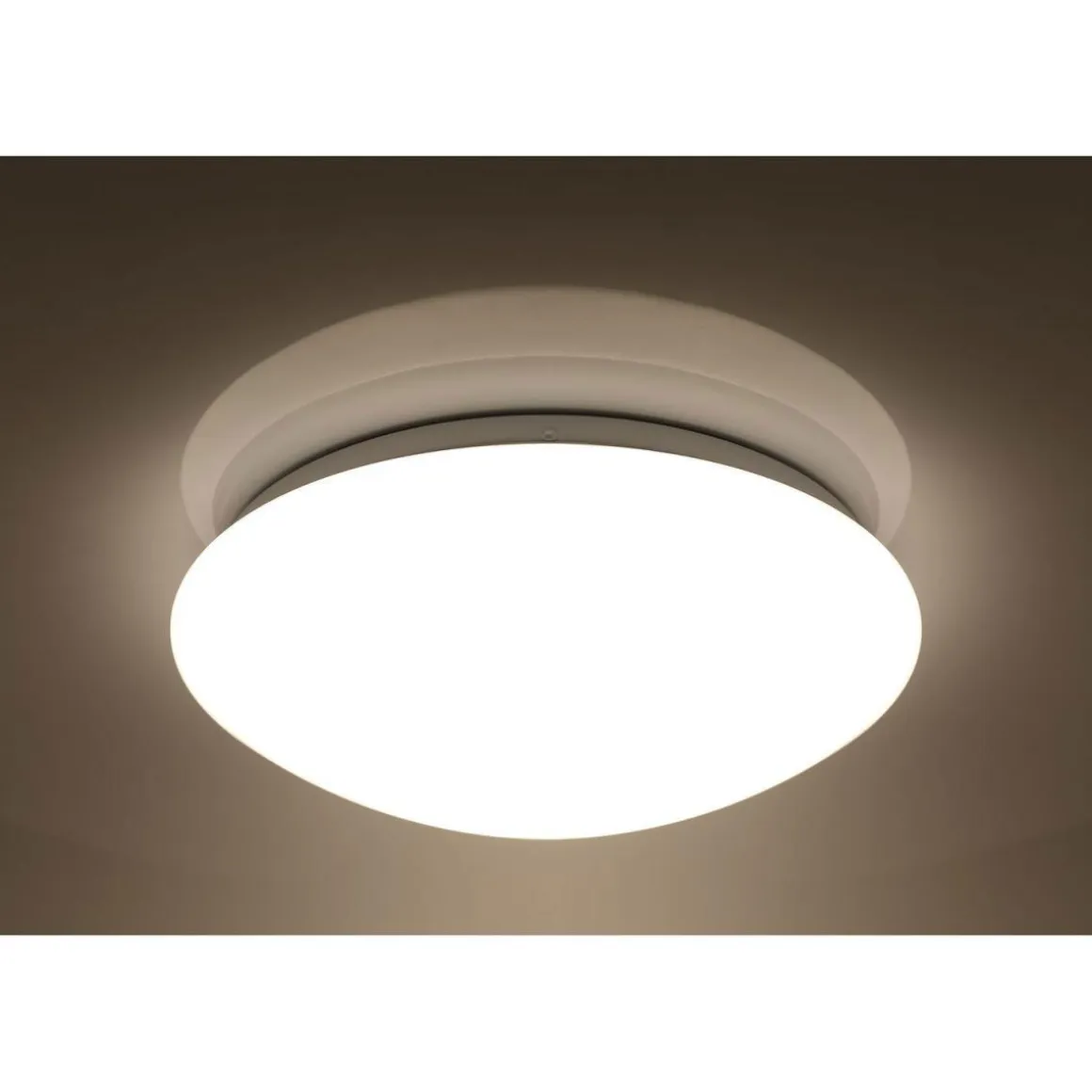 Flector LED-Wand- und Deckenleuchte Sandy dimmbar 30 cm