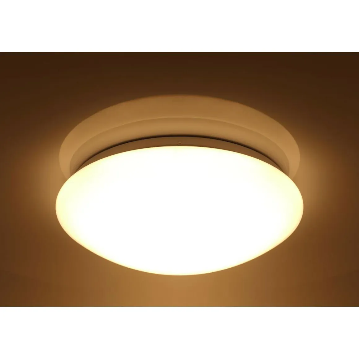 Flector LED-Wand- und Deckenleuchte Sandy dimmbar 30 cm