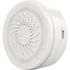 Fontastic Bewegungsmelder „Smart Home“, WiFi