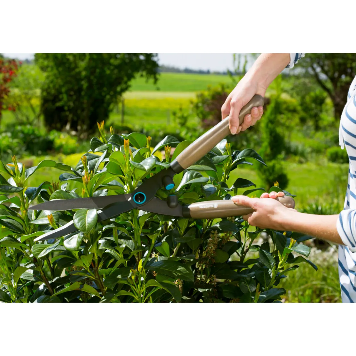 Gardena Heckenschere NatureCut