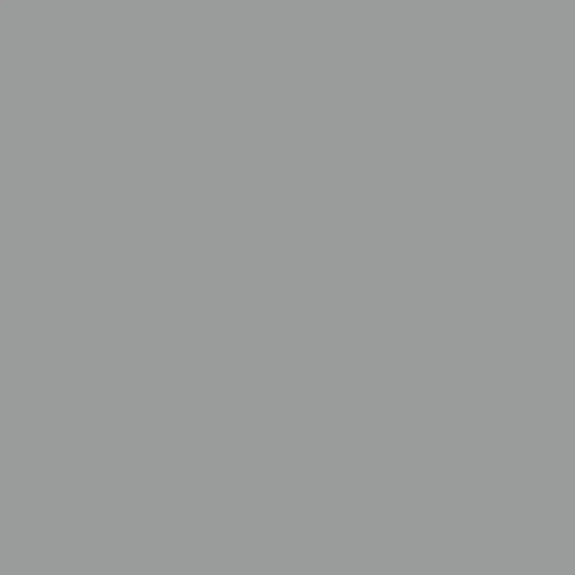 Gardinia Flächenvorhang Stoff Entry 60 x 245 cm grau