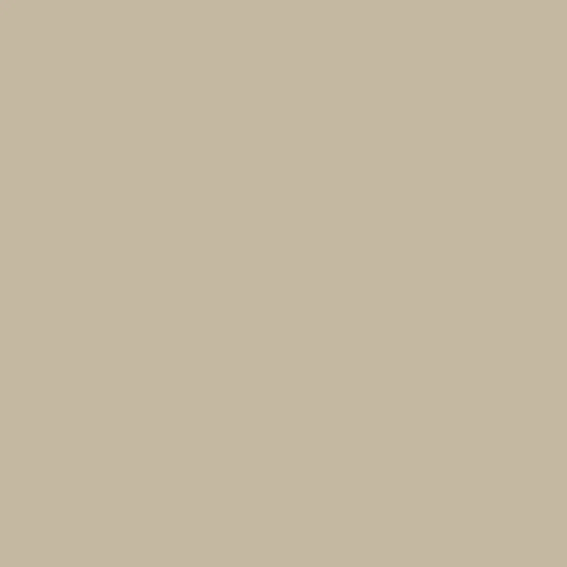 Gardinia Flächenvorhang Stoff Entry 60 x 245 cm taupe