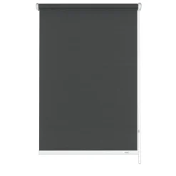 Gardinia Seitenzugrollo 62 x 180 cm Uni grau