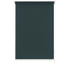 Gardinia Seitenzugrollo 162 x 180 cm grau