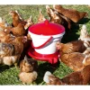 Geflügel-Tränkeeimer 12 L rot-weiß