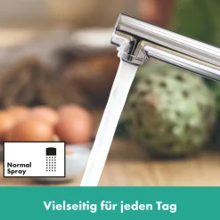 Hansgrohe Einhebel-Küchenmischer Zesis M33 chrom
