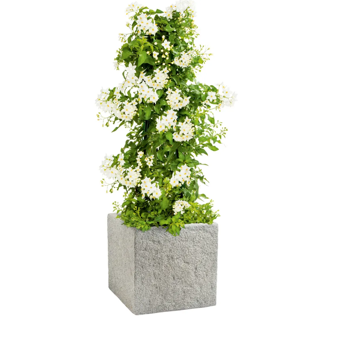 Haveson Fiberglaskübel 25 x 25 cm Natursteinoptik