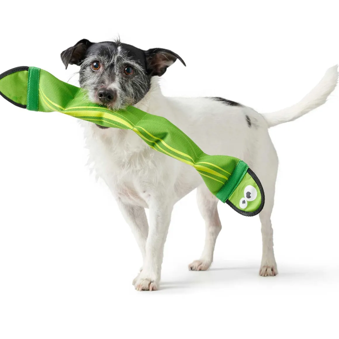 Hunter Hundespielzeug Aqua Mindelo grün 52 cm