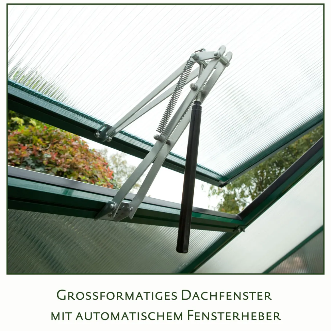 KGT Gewächshaus Rose II 5m² schwarz