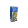 Kiepenkerl Blumenmischung Flower Dreams