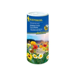 Kiepenkerl Blumenmischung Sonnenglanz