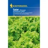 Kiepenkerl Salat Australischer gelber