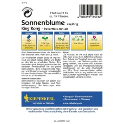 Kiepenkerl Sonnenblume King Kong
