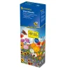 Kiepenkerl Tempo Blütenflor