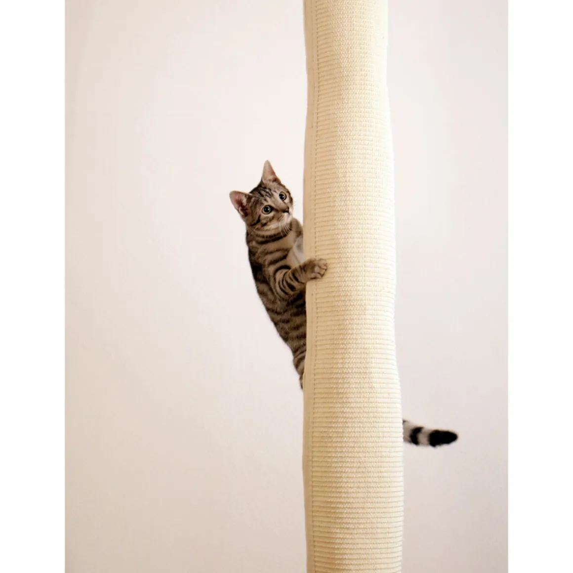 Klettersack Climber für Katzen 16 x 16 x 240 cm