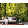 Komar Vlies Fototapete Ancient World 400x250 cm