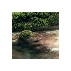 Komar Vlies Fototapete Tranquil Pool 400x250 cm
