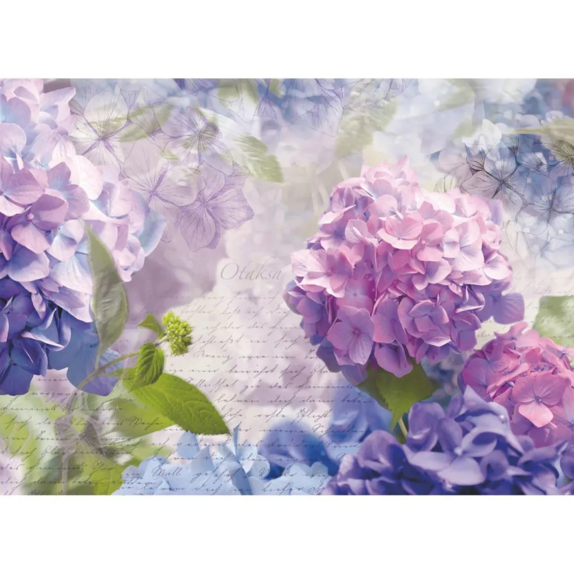 Komar Papier-Fototapete Otaksa 8-teilig 368 x 254 cm