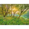 Komar Papier-Fototapete Spring Lake 8-teilig 368 x 254 cm