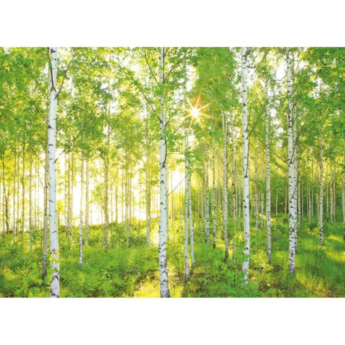 Komar Papier-Fototapete Sunday 8-teilig 368 x 254 cm