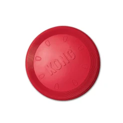Kong Flyer rot