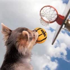 KONG Hundespielzeug Sport Balls farblich sortiert Durchmesser 5 cm 3 Stück
