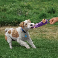 KONG Hundespielzeug Tugger Knots Affe lila 36 cm