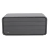 Lifetime Kissen- & Auflagenbox 515 L 72x147,1x63,6cm Anthrazit