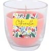 Müller-Licht Citronella Kerzenglas 75x75mm melon
