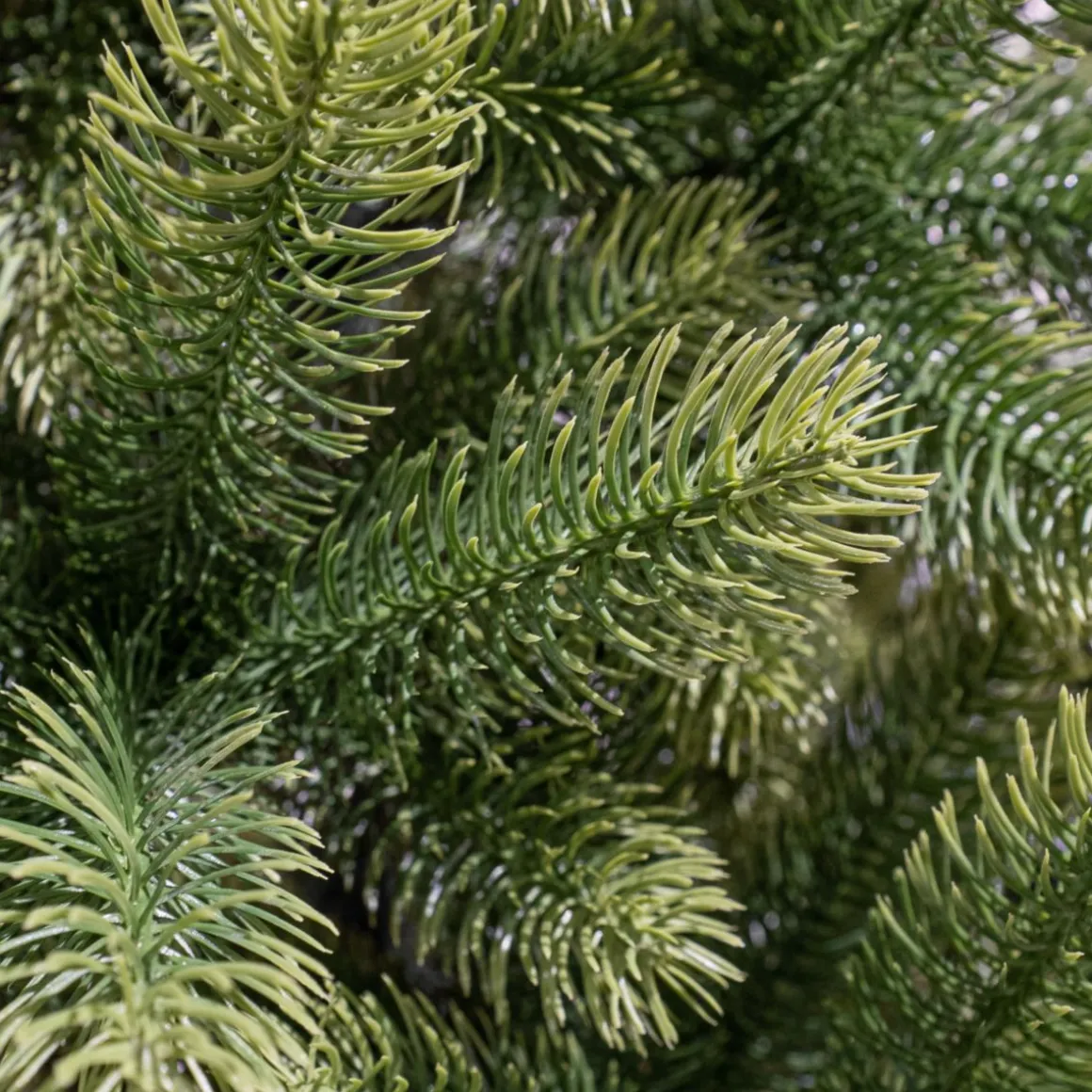 Nagoya Weihnachtsbaum grün 180x108 cm